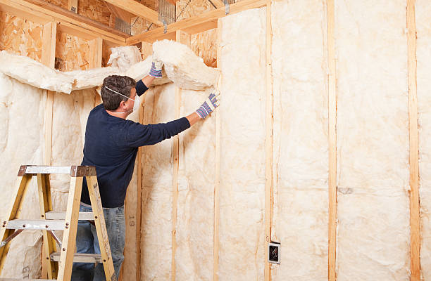 Best Attic Insulation Installation  in Marshall, TX